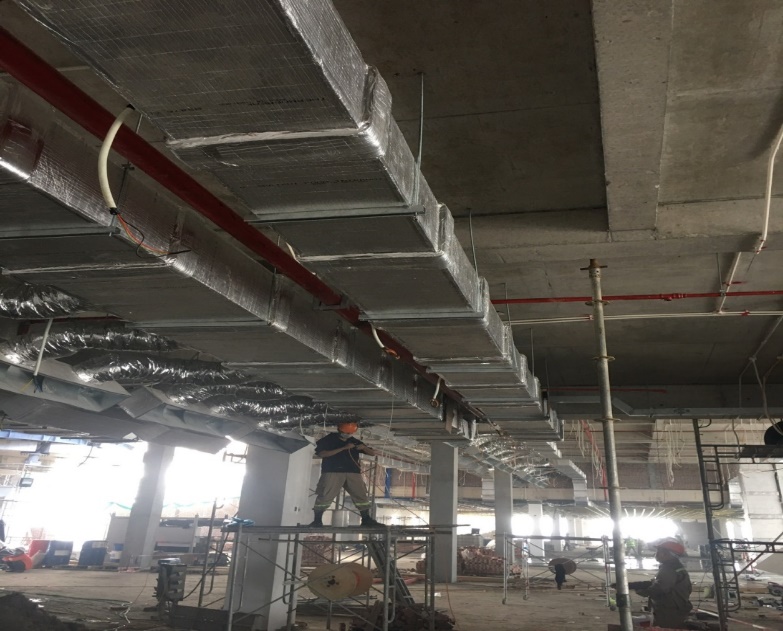 Cáp treo Cát Hải Hải Phòng